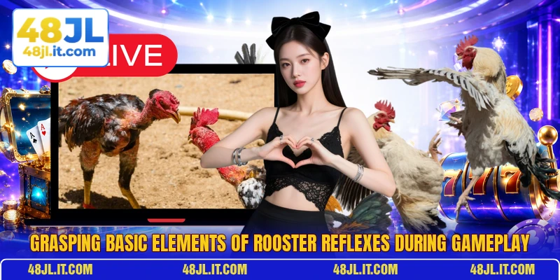 Grasping basic elements of Rooster Reflexes during gameplay