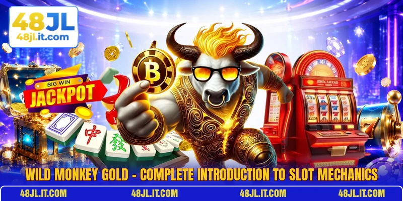 Wild Monkey Gold - Complete Introduction To Slot Mechanics